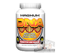 Magnum DNA 