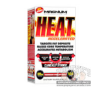 Magnum Heat
