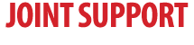 JOINT SUPPORT