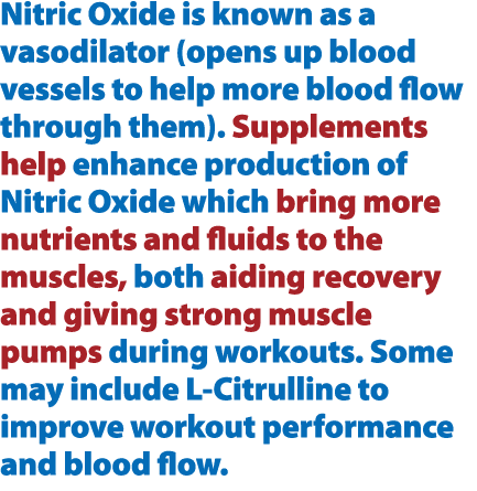 Nitric Oxide is known as a vasodilator (opens up blood vessels to help more blood flow through them). Supplements hel...
