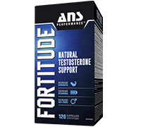 ans-fortitude-v2