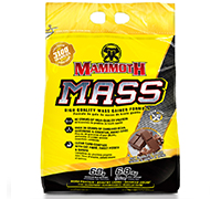 mammoth-mass-15lb-rich-chocolate